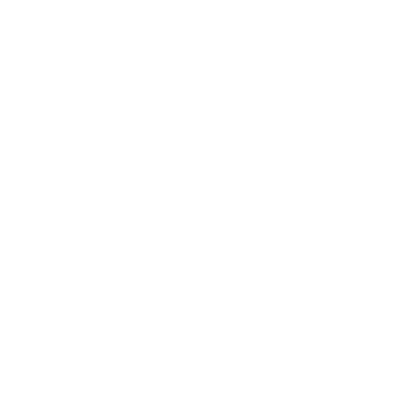 Modern_Beehive_aesthetics_Icon_W